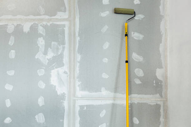 Best Dehumidification Services  in Calhoun, GA