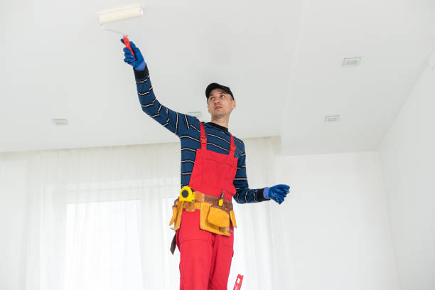 Best Industrial Mold Remediation  in Calhoun, GA
