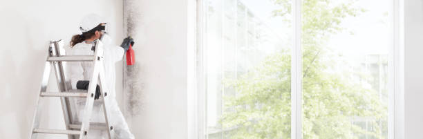 Best Forensic Mold Investigation  in Calhoun, GA